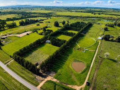 Venta Campo 19 Ha sobre Ruta 39  San Carlos Maldonado