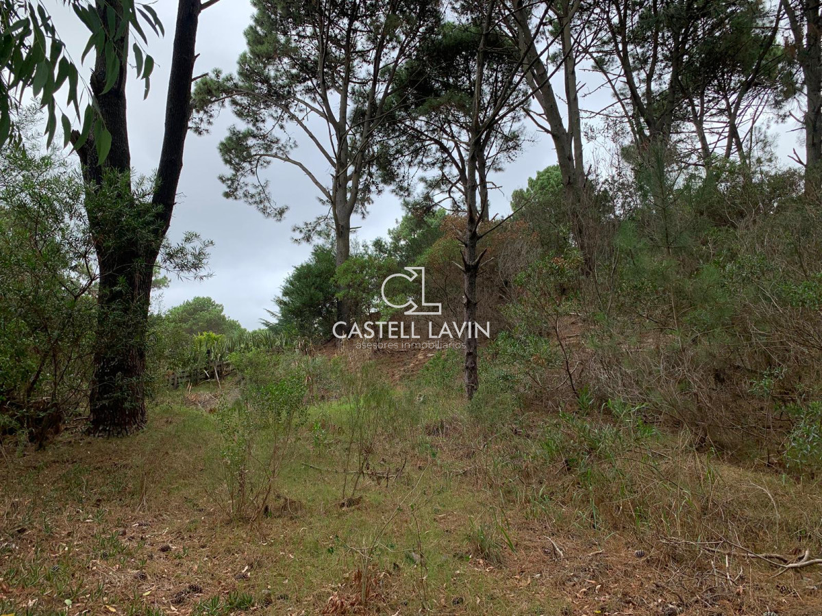 Terreno ID.642 - Venta Terreno Club del Lago Punta Ballena