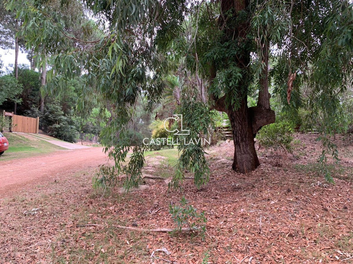 Terreno ID.642 - Venta Terreno Club del Lago Punta Ballena