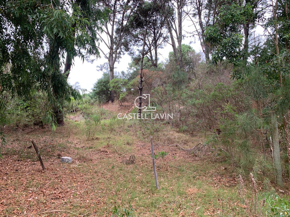 Terreno ID.642 - Venta Terreno Club del Lago Punta Ballena