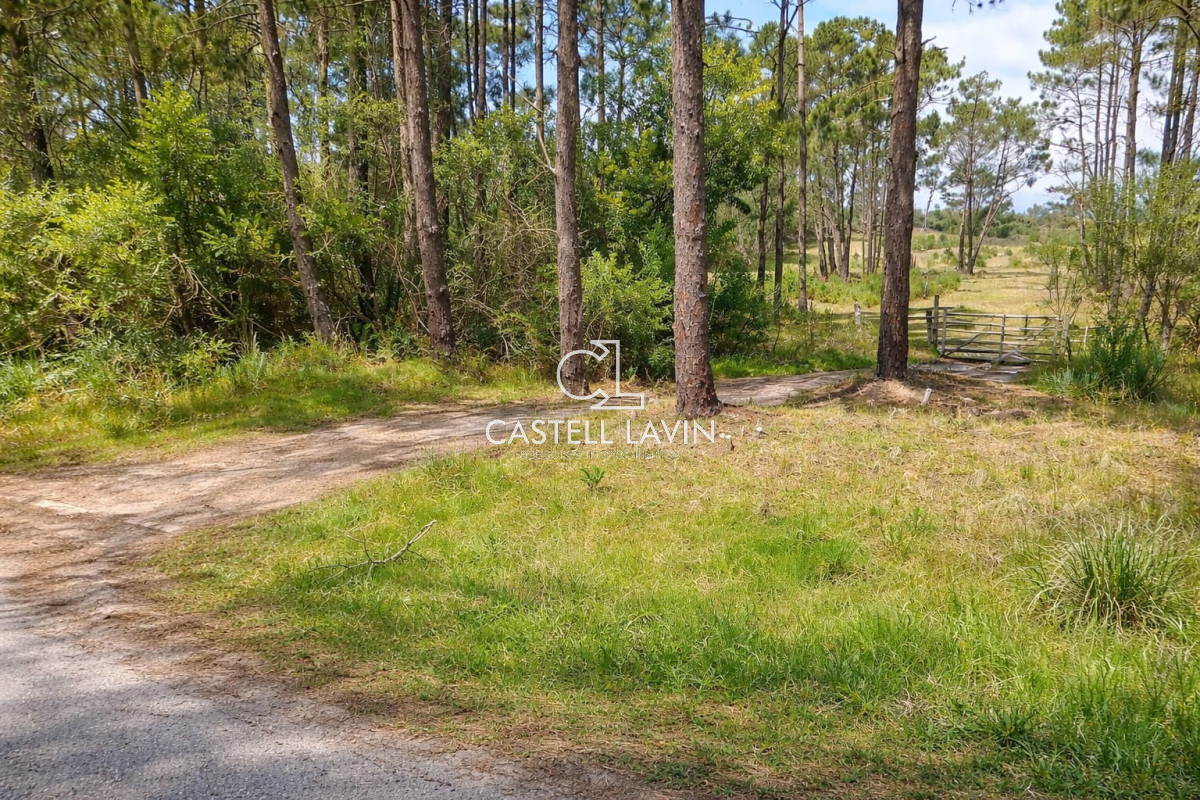 Terreno ID.1048 - Venta Terreno a pasos del mar Perla de Rocha Rocha