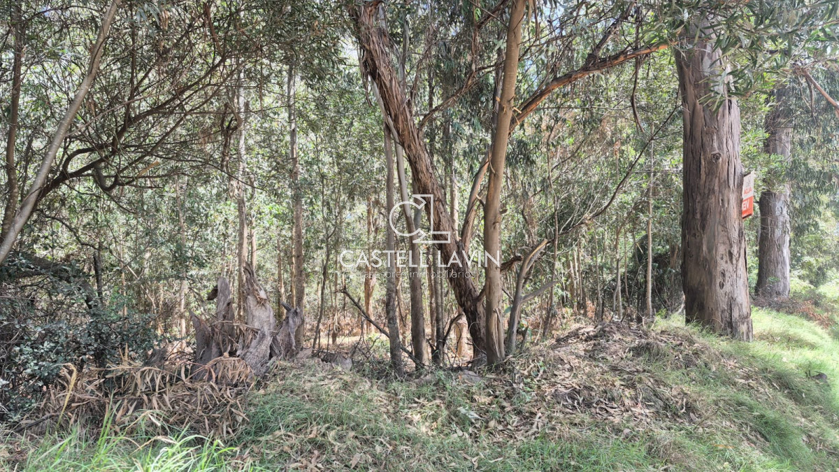 Terreno ID.937 - Venta Terreno en Sauce de Portezuelo Punta Ballena