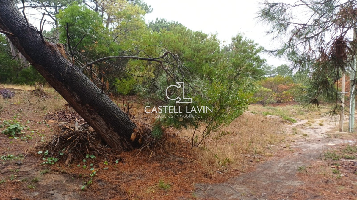 Terreno ID.1083 - Venta Terreno  a metros del arroyo Solis y la playa Jaureguiberry Canelones