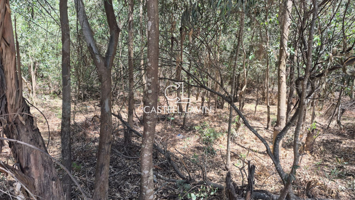 Terreno ID.937 - Venta Terreno en Sauce de Portezuelo Punta Ballena