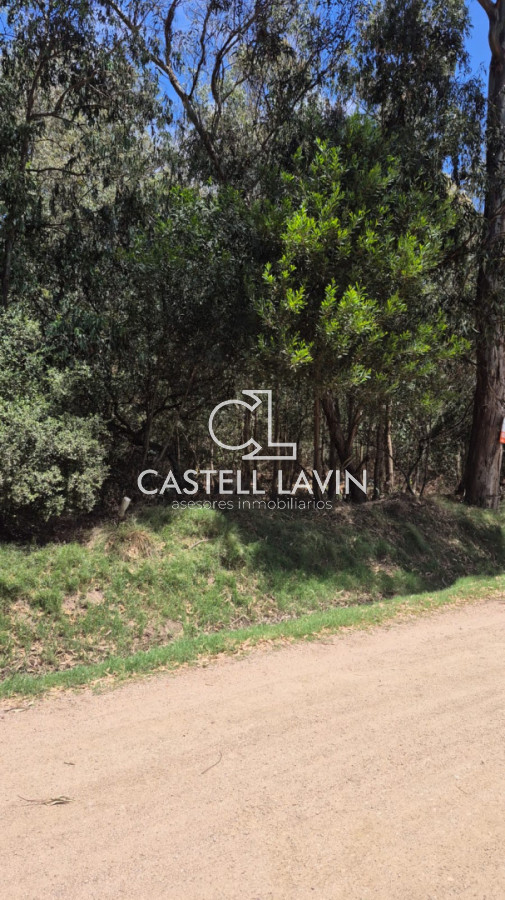 Terreno ID.937 - Venta Terreno en Sauce de Portezuelo Punta Ballena