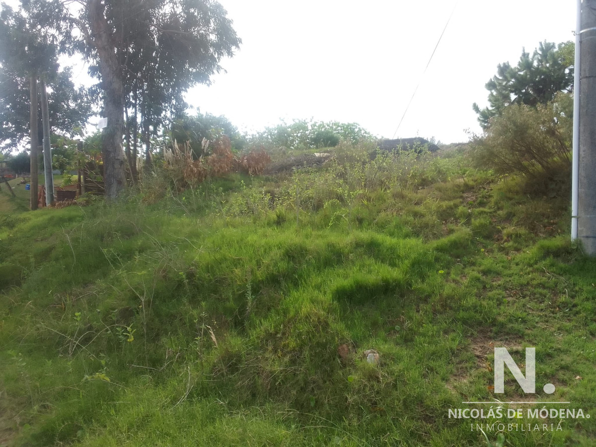 Altos del Pinar - GoPunta - Portal Inmobiliario de Punta del Este - Maldonado