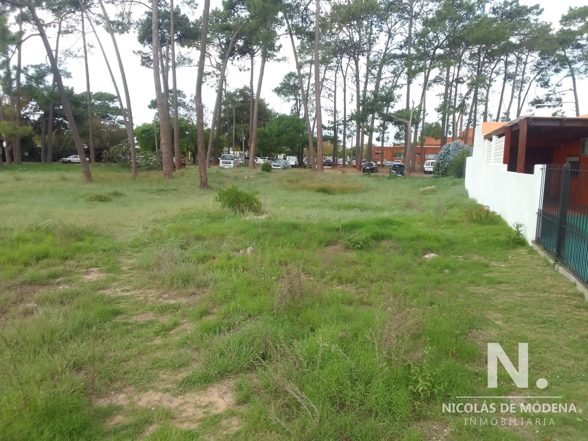 Altos del Pinar - GoPunta - Portal Inmobiliario de Punta del Este - Maldonado