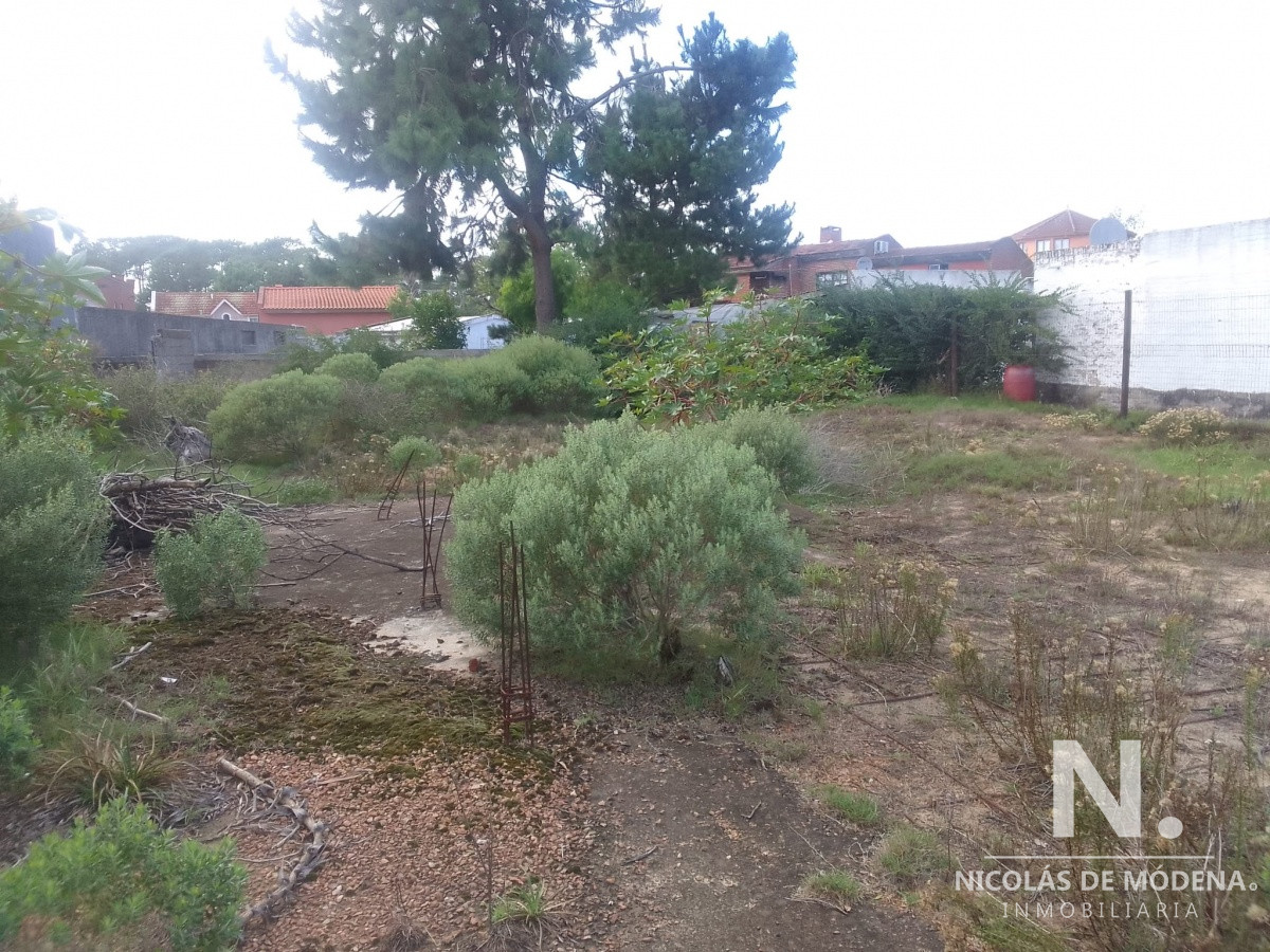 Altos del Pinar - GoPunta - Portal Inmobiliario de Punta del Este - Maldonado