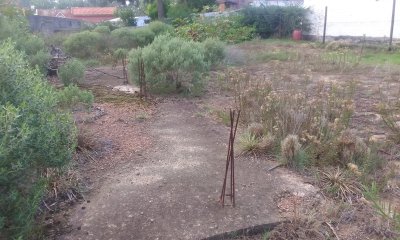 Terreno en Altos del Pinar