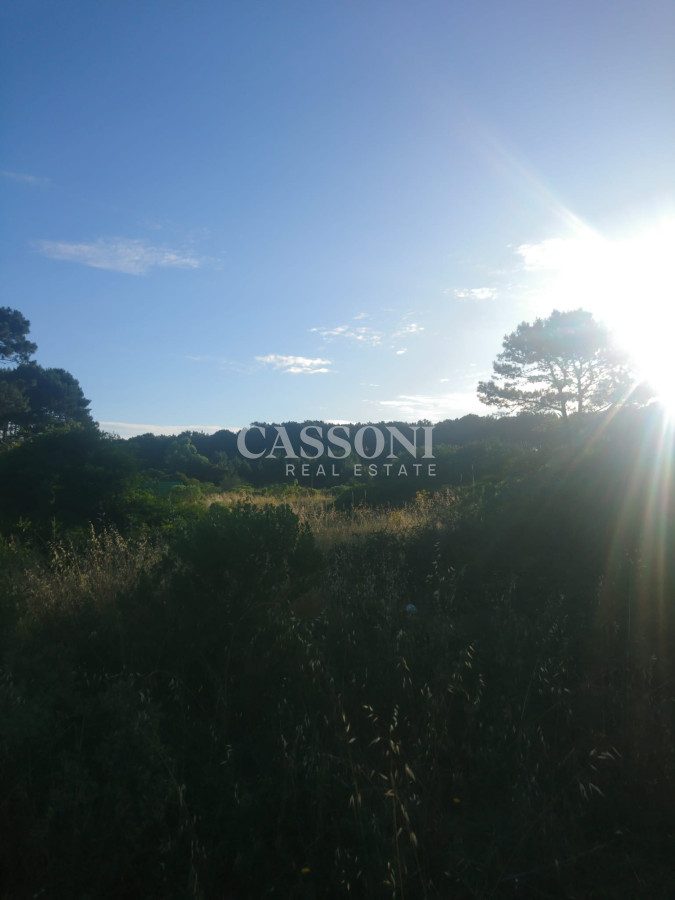 Terreno ID.1184 - Terrenos en Rincón del Indio
