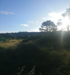 Gran terreno en Rincón del Indio. 2300m2. Punta del Este.