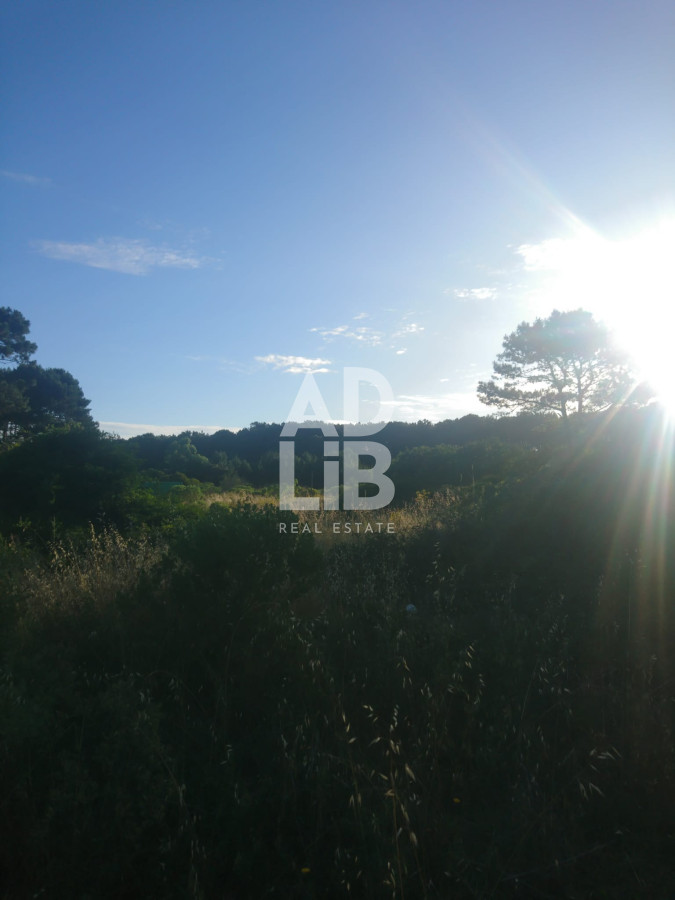 Terreno ID.197 - Gran terreno en Rincón del Indio. 2300m2. Punta del Este. 