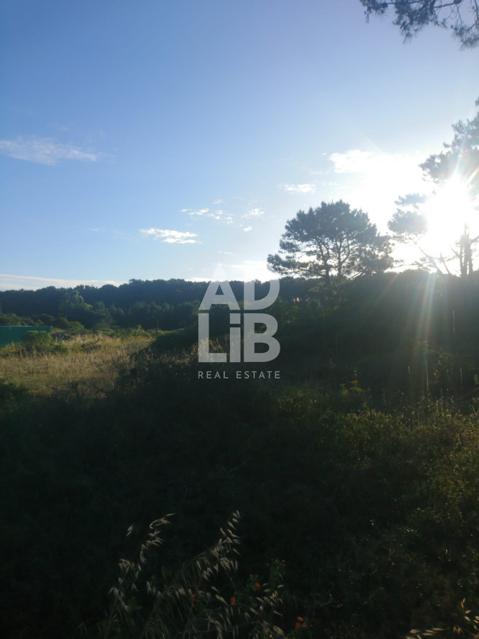 Terreno ID.197 - Gran terreno en Rincón del Indio. 2300m2. Punta del Este. 