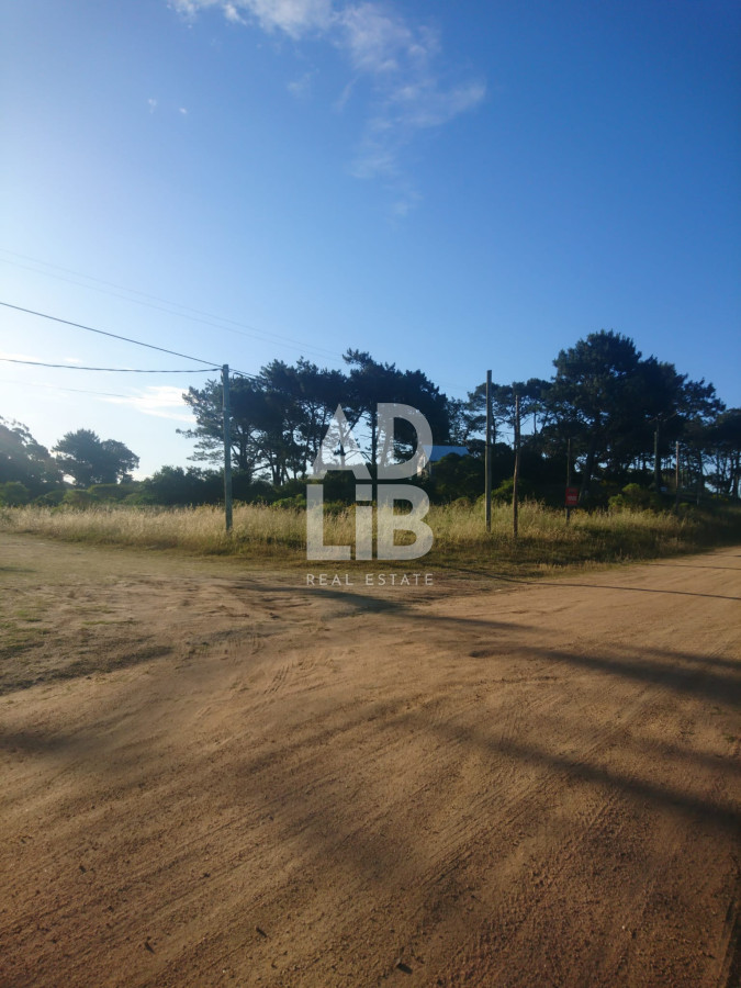 Terreno ID.197 - Gran terreno en Rincón del Indio. 2300m2. Punta del Este. 