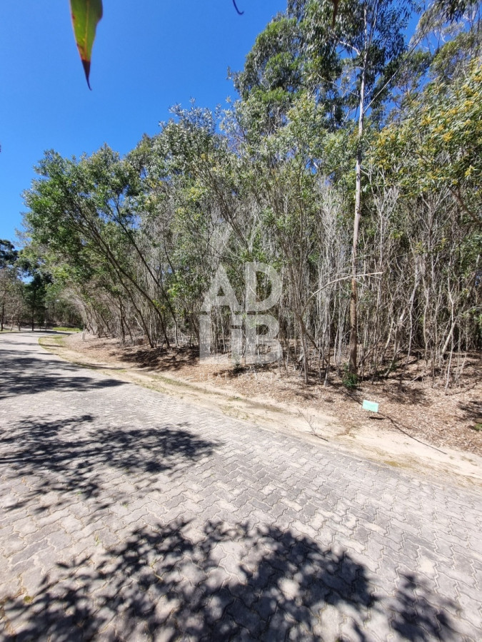 Terreno ID.190 - Único terreno esquinero en el barrio privado Desing Village, 1454 m2. Solanas. Punta Ballena.