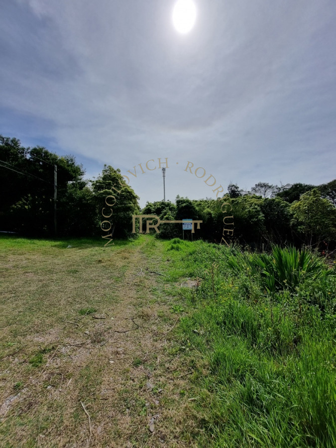 Terreno ID.2785 - Terreno en Punta Ballena