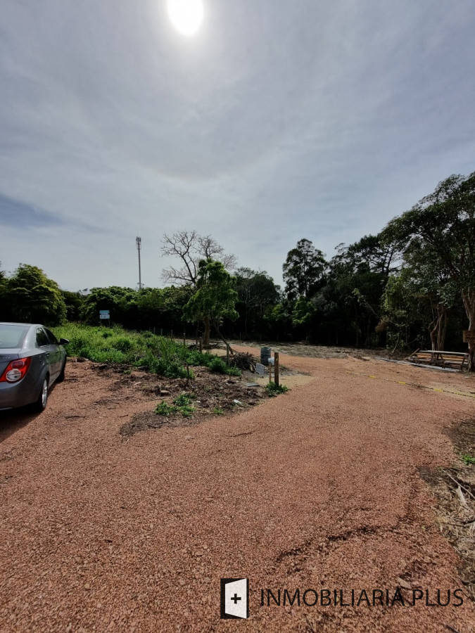 Terreno ID.1308 - Terreno en Punta Ballena