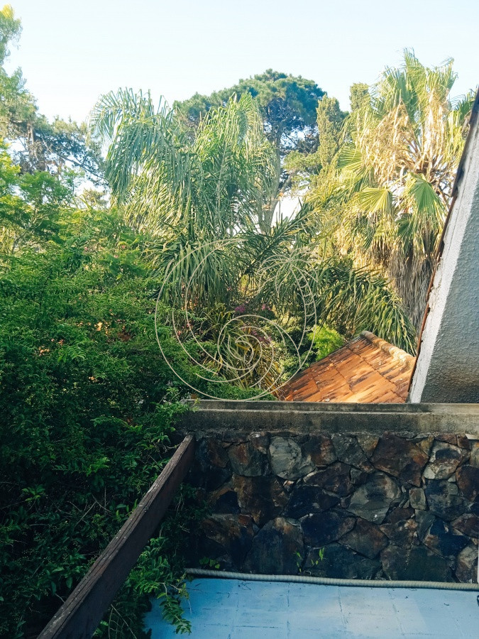 Casa ID.21092578 - Amplia casa en Cantegril con un jardín soñado, ubicada a un paso de todos los servicios, en un entorno arbolado. 