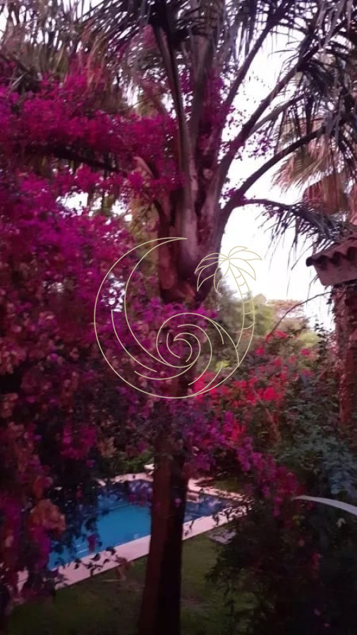 Casa ID.21092578 - Amplia casa en Cantegril con un jardín soñado, ubicada a un paso de todos los servicios, en un entorno arbolado. 
