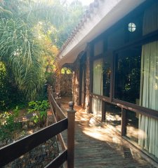 Amplia casa en Cantegril con un jardín soñado, ubicada a un paso de todos los servicios, en un entorno arbolado.