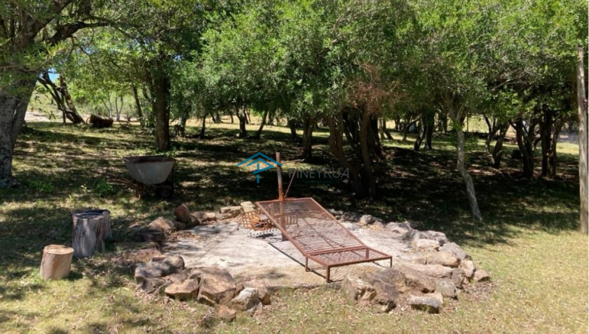 Chacra ID.351 -  Excelente Chacra de 10 hectáreas  en Pueblo Edén 