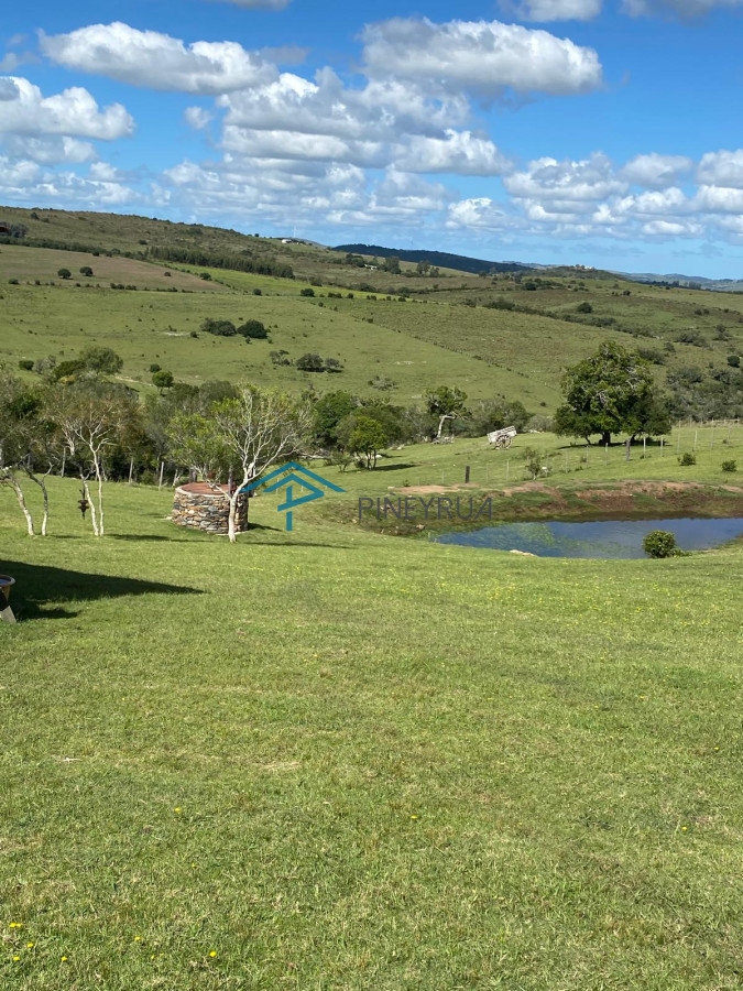 Hermosa chacra con arrollo y 2 tajamares Pueblo Edén 