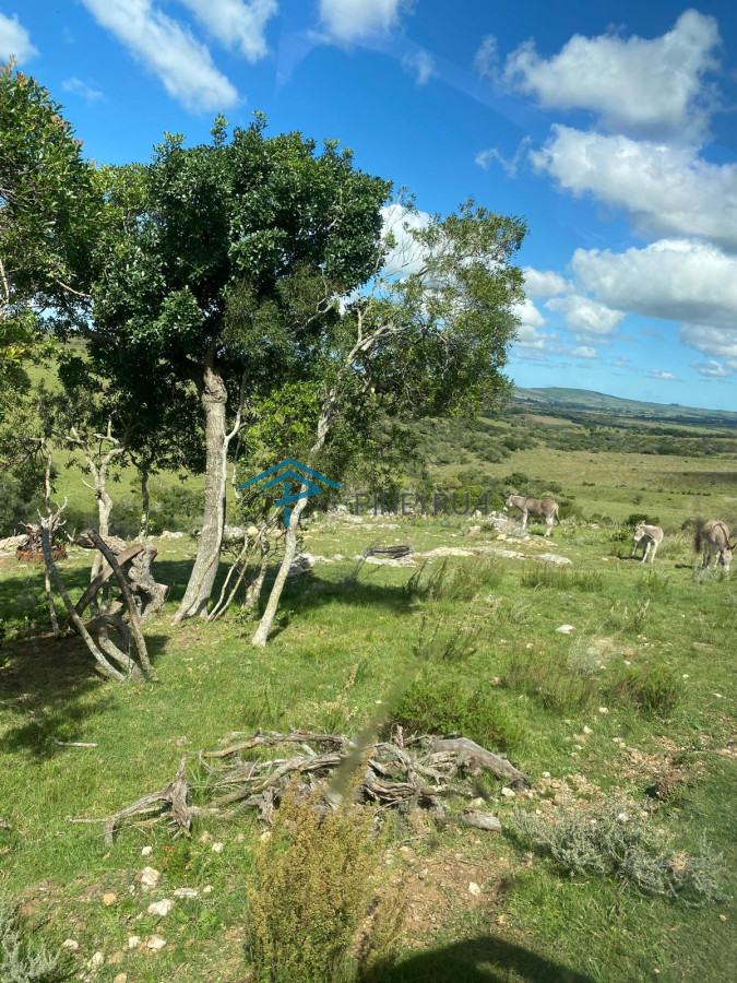 Hermosa chacra con arrollo y 2 tajamares Pueblo Edén 