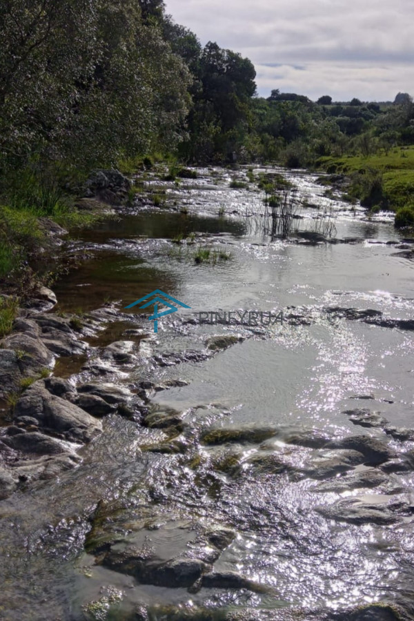 Hermosa chacra con arrollo y 2 tajamares Pueblo Edén 
