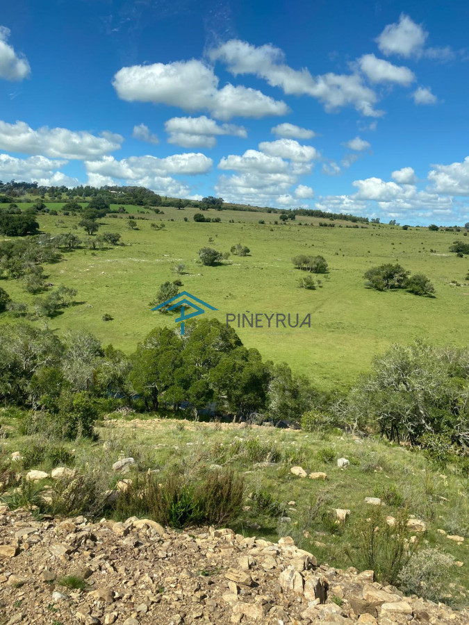 Hermosa chacra con arrollo y 2 tajamares Pueblo Edén 