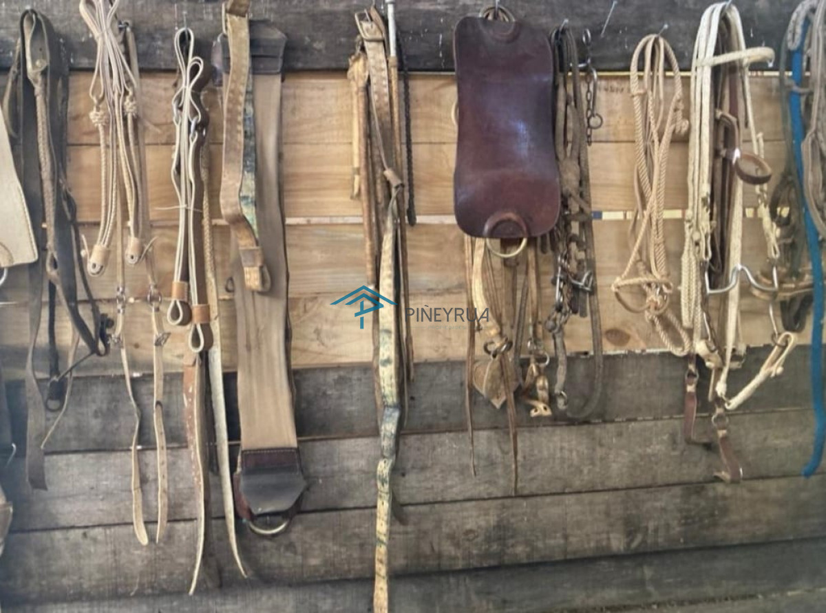  Excelente Chacra de 10 hectáreas  en Pueblo Edén 