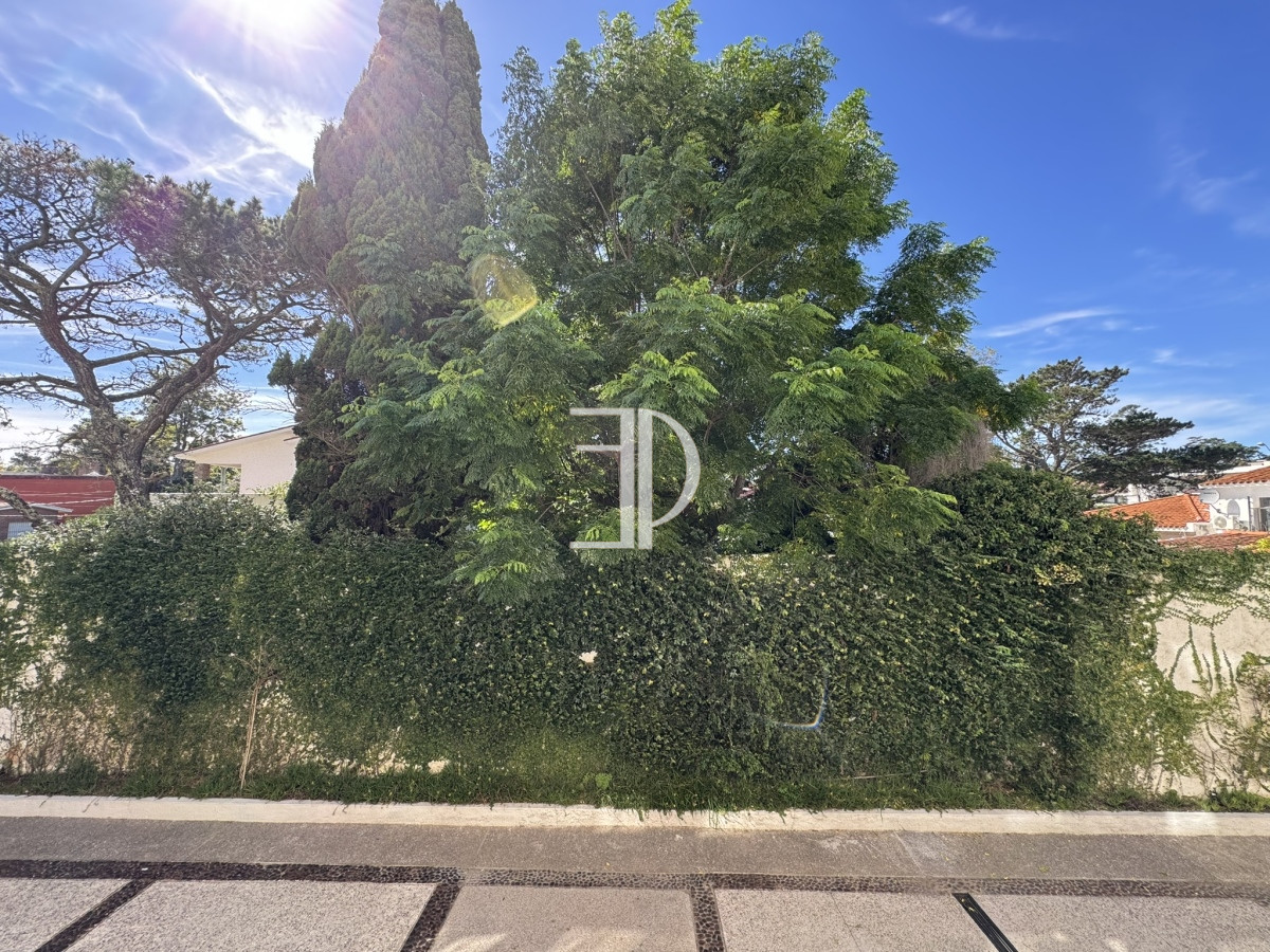 Apartamento ID.517 - Apartamento en venta de 4 dormitorios en Playa Mansa Punta del Este