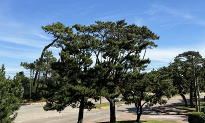 Apartamento en venta de 4 dormitorios en Playa Mansa Punta del Este