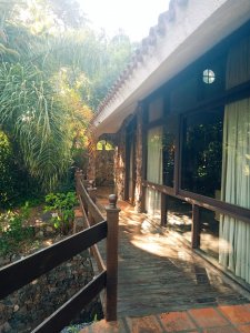 Amplia casa en Cantegril con un jardín soñado, ubicada a un paso de todos los servicios, en un entorno arbolado. 