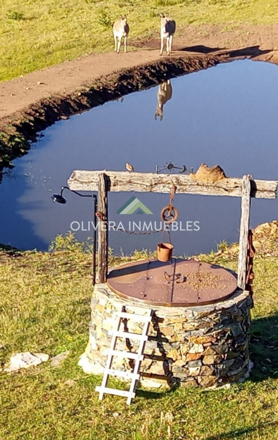 Chacra ID.11680 - Hermosa chacra con arrollo y 2 tajamares Pueblo Edén 