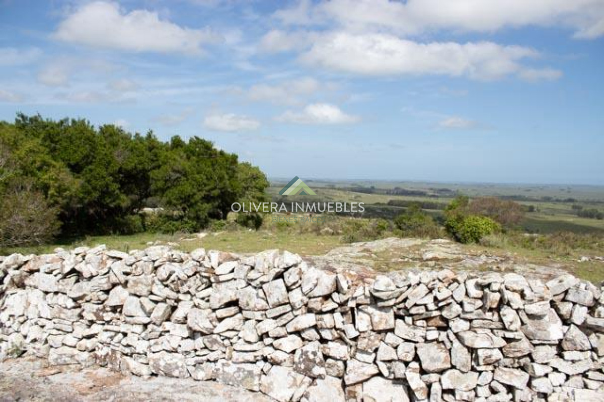 Chacra ID.12296 - CHACRA EN VENTA RUTA 39 PARAJE PASO DUTRA ( PUNTA DEL ESTE)