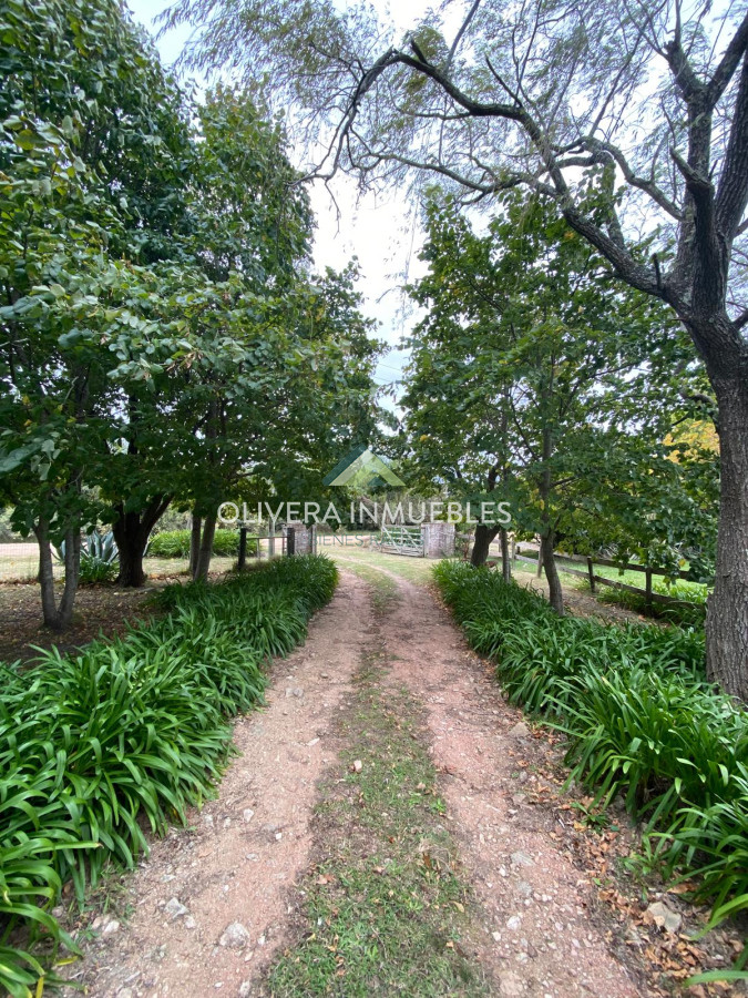 Chacra ID.13388 - CHACRA DE 5 HECTAREAS ABRA DE PERDOMO 