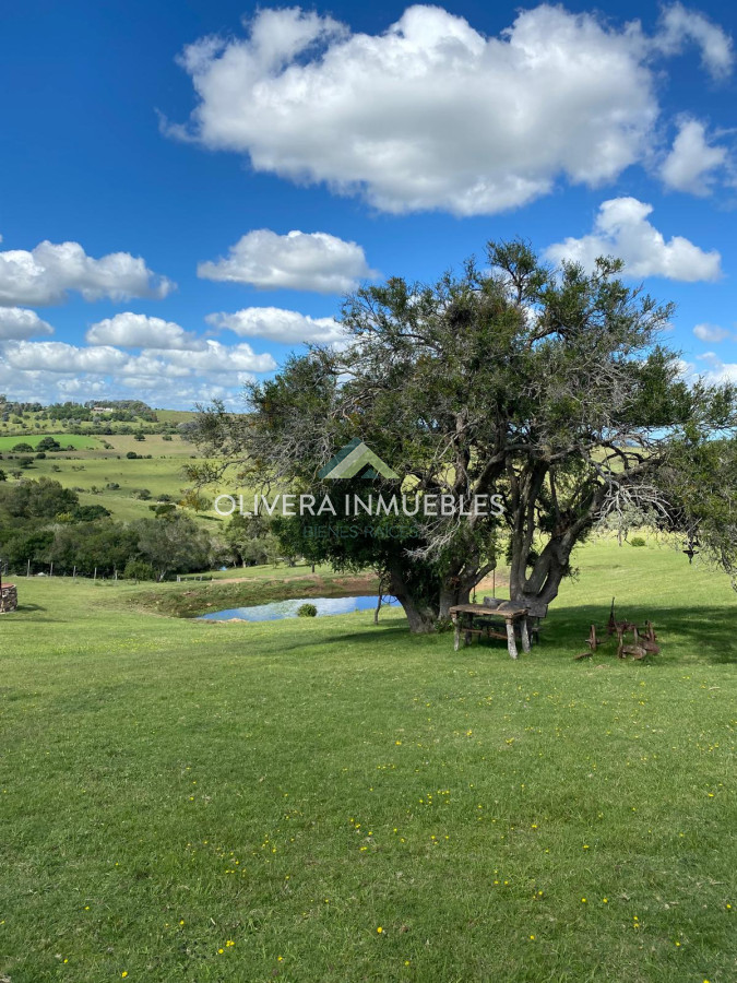 Chacra ID.11680 - Hermosa chacra con arrollo y 2 tajamares Pueblo Edén 