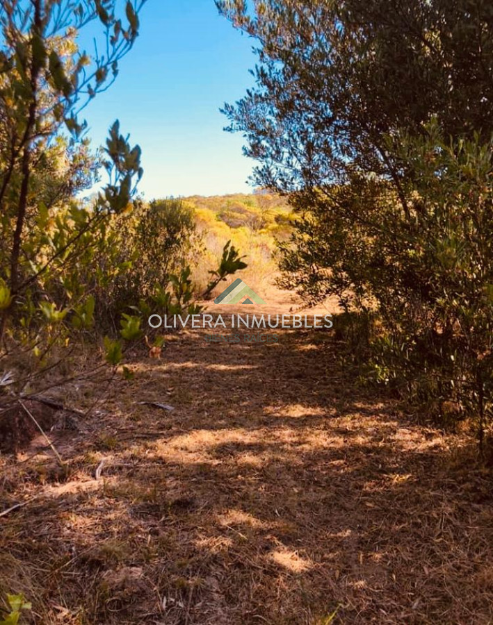 Chacra ID.12387 - CHACRA DE 5 HECTAREAS EN VENTA LAS CAÑAS ( PUNTA DEL ESTE )