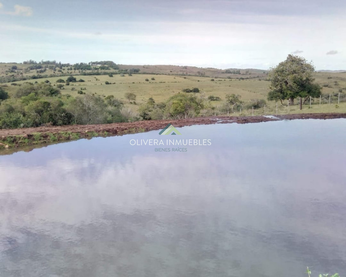 Chacra ID.11680 - Hermosa chacra con arrollo y 2 tajamares Pueblo Edén 