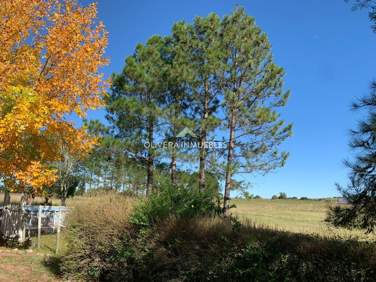 Chacra ID.12388 - CHACRA DE 5 HECTAREAS EN VENTA PUEBLO EDEN (PUNTA DEL ESTE)