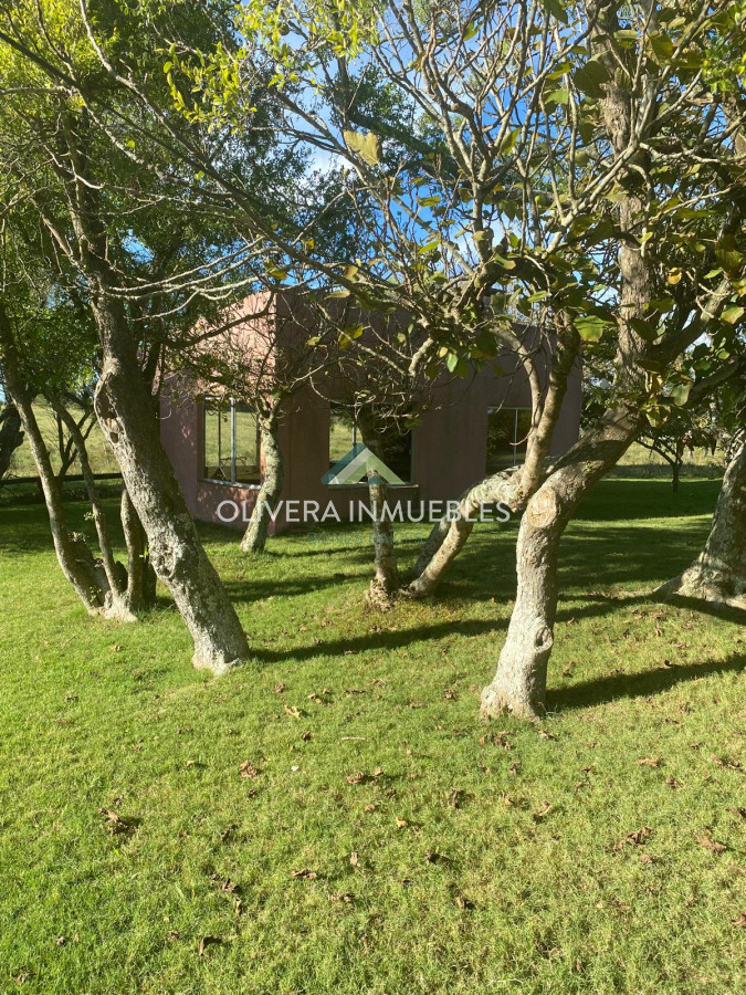 Chacra ID.13379 - EXCELENTE UBICACION SOBRE RUTA 12 PUEBLO EDEN 5 HECTAREAS 