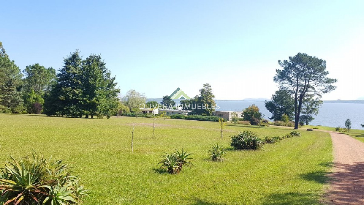 Chacra ID.3835 - Lujosa chacra en la Laguna del Sauce.