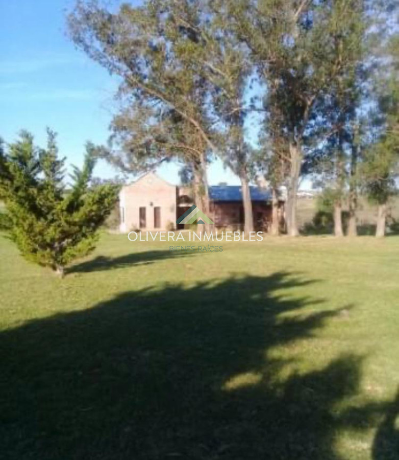 Chacra ID.11442 - Chacra en venta en Punta del Este, Camino Los Ceibos