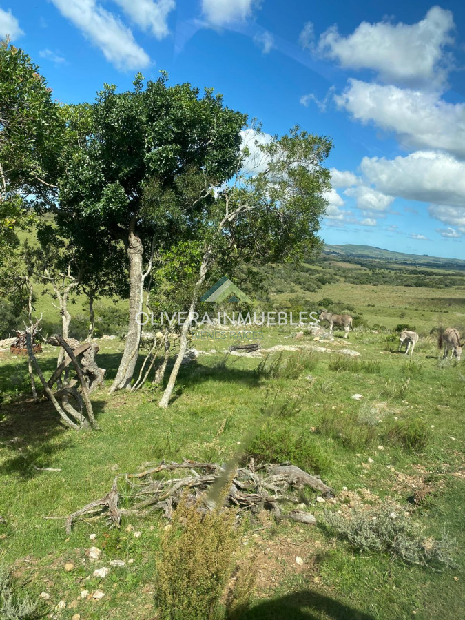 Chacra ID.11680 - Hermosa chacra con arrollo y 2 tajamares Pueblo Edén 