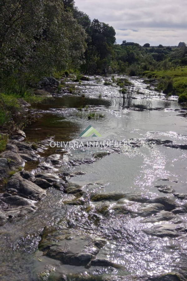 Chacra ID.11680 - Hermosa chacra con arrollo y 2 tajamares Pueblo Edén 