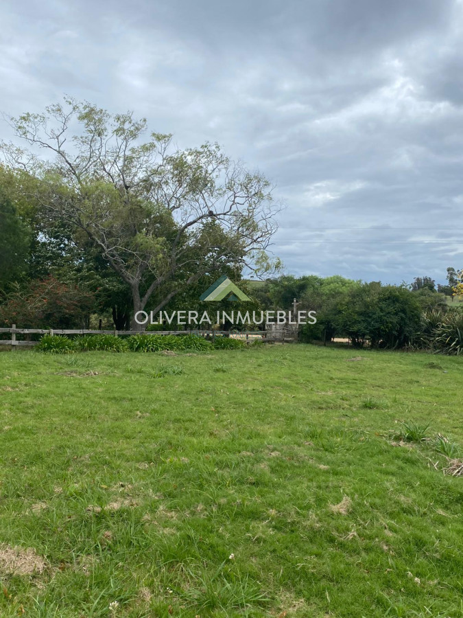 Chacra ID.13388 - CHACRA DE 5 HECTAREAS ABRA DE PERDOMO 