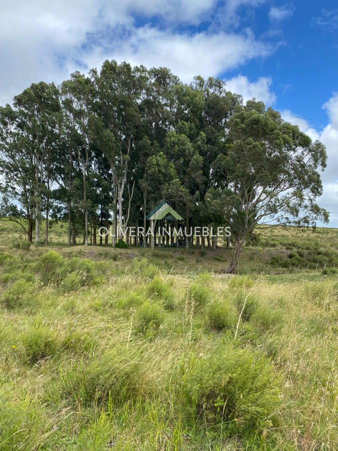 Chacra ID.13165 - Chacra a la venta Corte de la leña (Punta del Este)