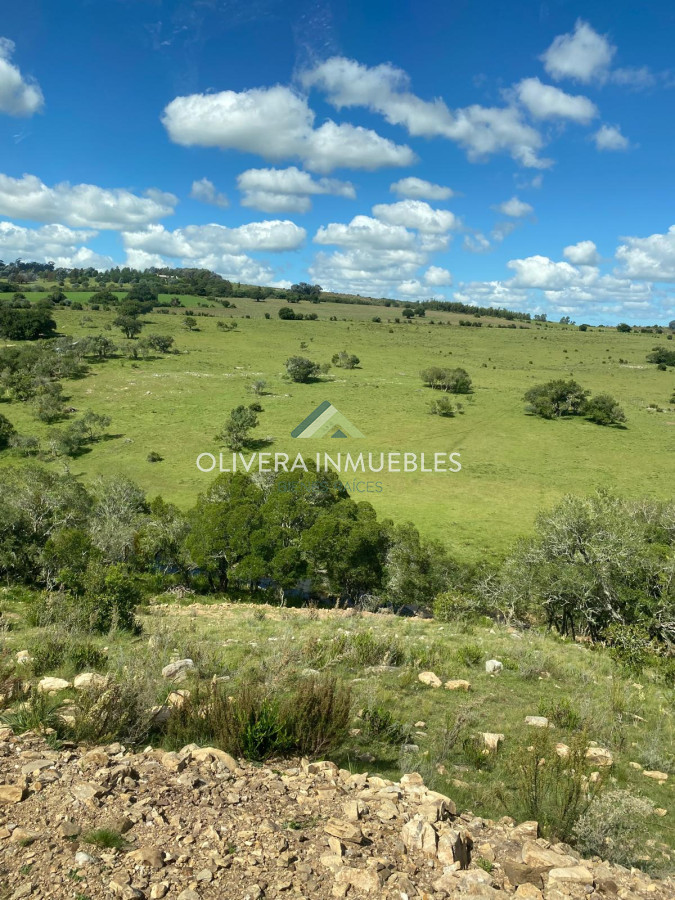 Chacra ID.11680 - Hermosa chacra con arrollo y 2 tajamares Pueblo Edén 