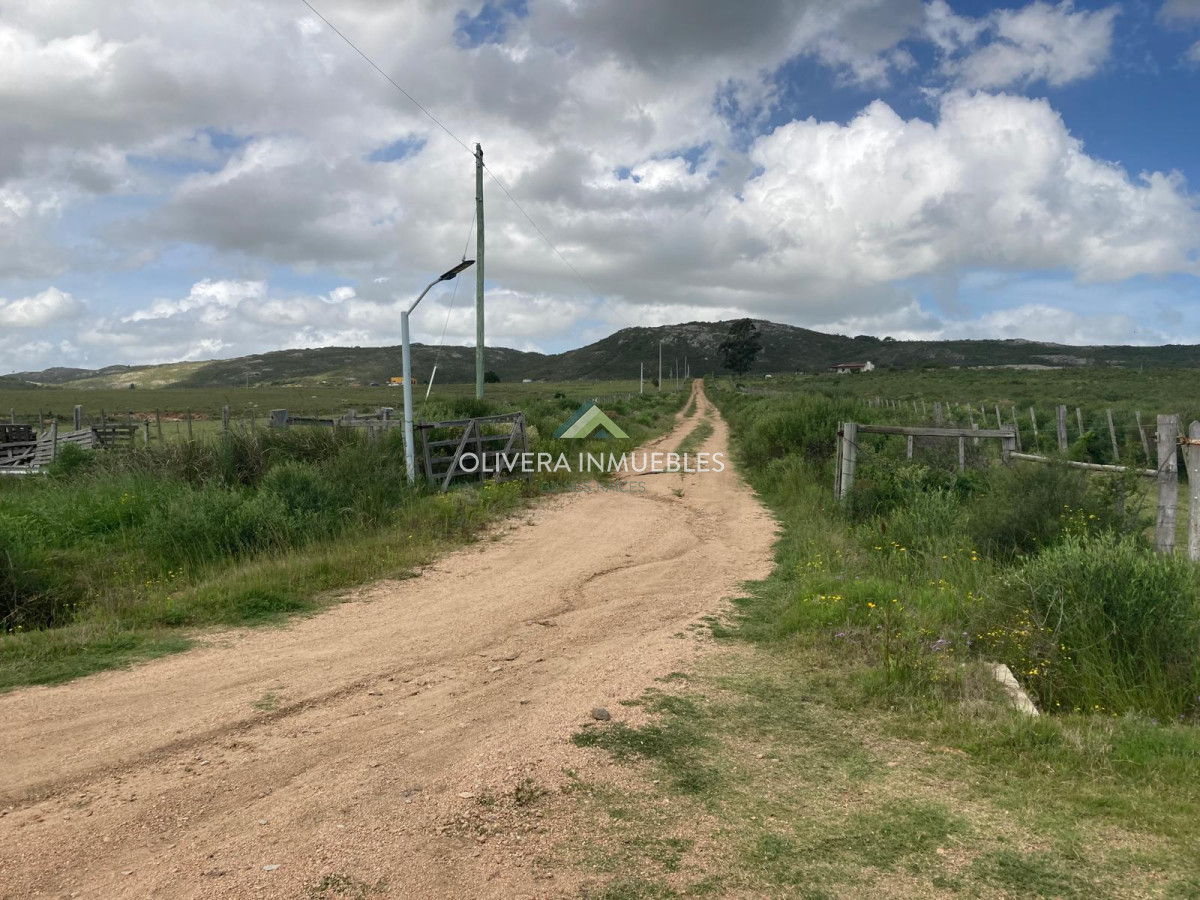 Chacra ID.12296 - CHACRA EN VENTA RUTA 39 PARAJE PASO DUTRA ( PUNTA DEL ESTE)
