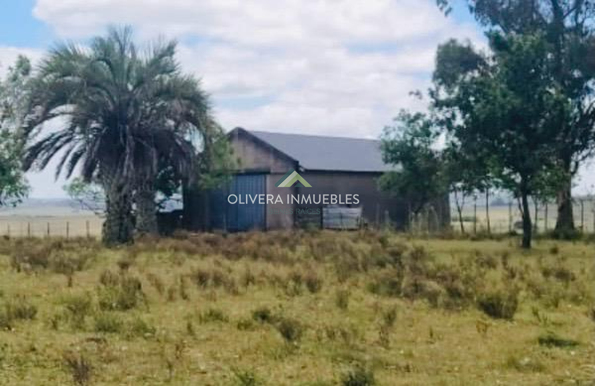 Chacra ID.13166 - Chacra de 28 hectáreas Paso Dutra (Punta del Este )